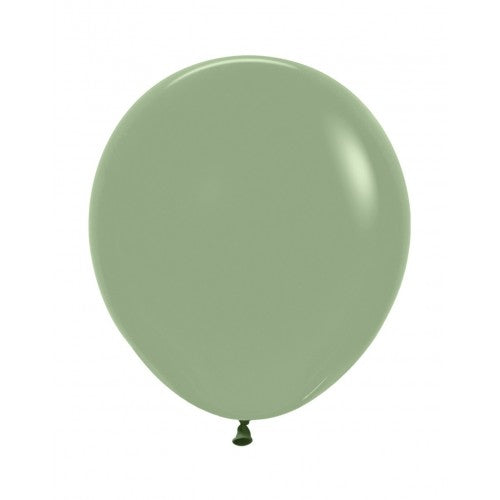 Eucalyptus 18'' 25gb